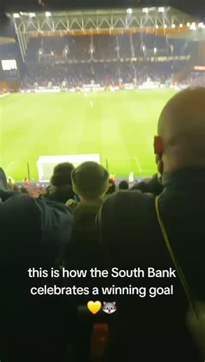 Celebrating Winning Goals with Punjabi Wolves