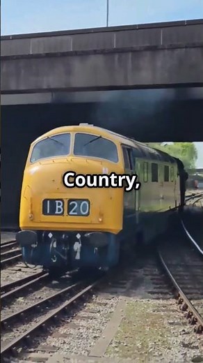 How Class 42s Changed British Rail Forever #warships #railway #train #railwayhistory #fyp #fypシ