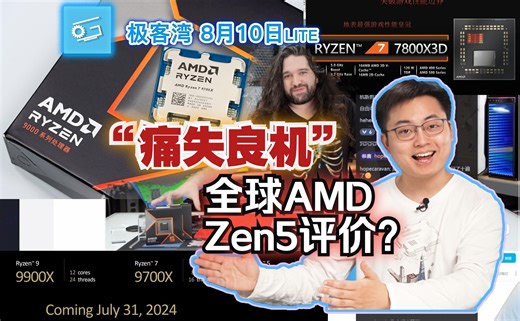 痛失良机：全球AMDZen5评价？-极客湾8月10
