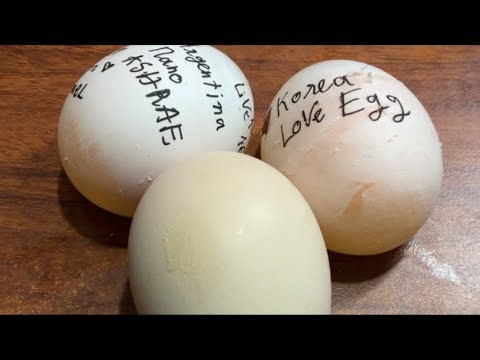 RAW EGG PEELING : ASMR LIVE #219
