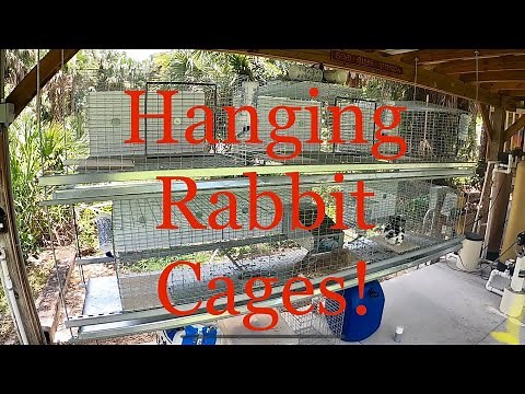 DIY - How to hang your rabbit cages and keep the predators away! You can also collect the manure!
