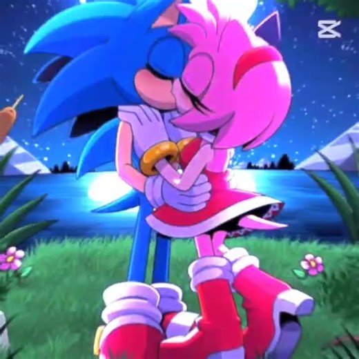 Sonamy edit #sonic #amy #sonamy #edit #sonicthehedgehog #rge #elbruso #love