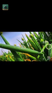 Top 1 App Camera in 2026