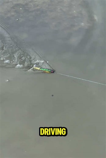 Exciting Fishing Lure Kit Review: A Bass Angler's Dream