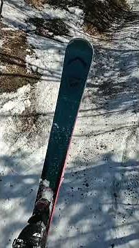 Rossignol Arcade 88 Skis - end of season reactions.
