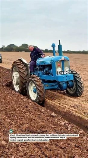 Vintage Blue Beast Breaking Ground! #ClassicTractor #DeepPlowing #FarmPower