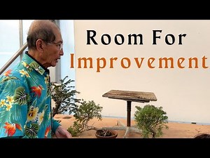 Room for Improvement - Applies to bonsai to