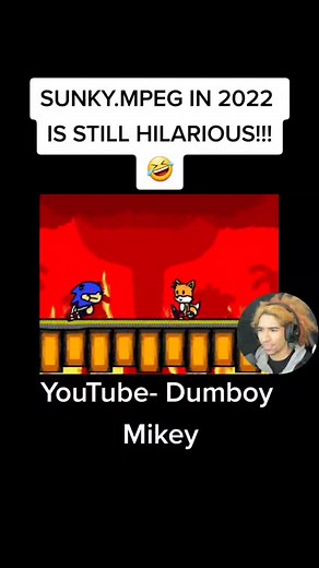 SUNKY.MPEG 2022: Hilarious Sonic Parody Moments