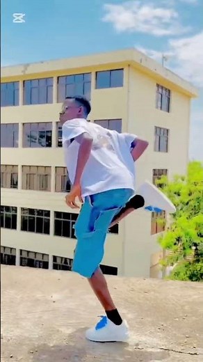 Afro fusion bongo mix official dance video