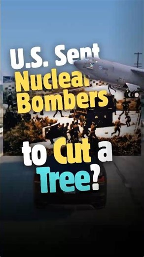 Why the U.S. Sent Nuclear Bombers to Cut a Tree? Operation Paul Bunyan