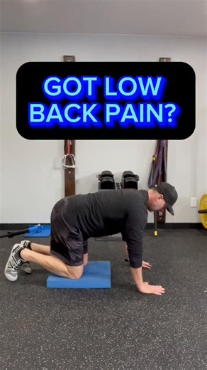 BIRD DOGS If you want to build a strong spine, core, and upper body, the bird dog is THE exercise for you. What’s so effective about this exercise is that it activates the entire POSTERIOR KINETIC CHAIN which is the chain responsible for helping you stand, lift, and transfer mechanical energy as you walk. The KEY to make get the most out of this exercise is to HOLD the “up” position for 5-10 seconds. Isometrics are insanely powerful strength builders for the postural muscles of the body – what w
