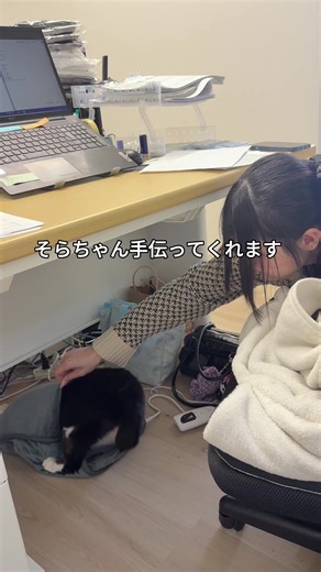 会社猫ふくの日常と優秀な部下の協力