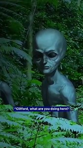 12K views · 338 reactions | Veteran describes strange alien encounter in Vietnam "You are not supposed to be here" | Extraterrestrials And Contactees | Facebook