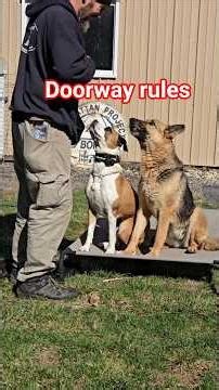 🐕 Ruby a real world lesson.Ruby is a highly anxious, high on the spectrum dog. Make her life easier