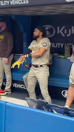 Fernando Tatís Jr Baseball Highlights Compilation