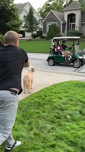 Card Throwing Moving Target 🎯 #shorts