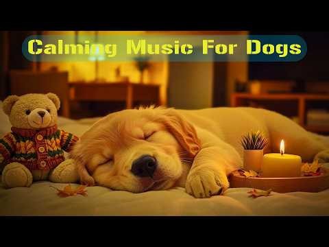 12 HOURS of Dog Calming Music 🐕 Relaxation Music for Dogs🎶Soothing Dog Music for Separation Anxiety