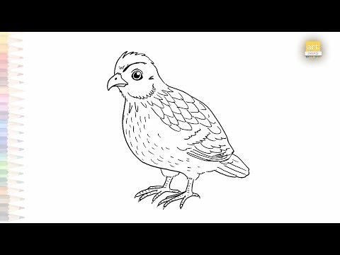 Quail easy drawing | Art tutorial | How to draw A Quail step by step | #artjanag