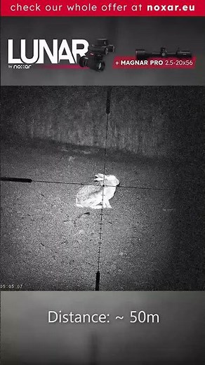 Hare at 50m | Noxar Lunar 1.0 + Magnar PRO 2.5-20x56 (Night Vision Setup)