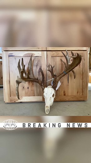 Abraham Yoder from Ashland Co, OH took this giant Oct 8th! Score: 239 7/8 inches! #buckmasters #btr #buckmasters #jackiebushman #outdoors #deerseason #buck #Ohio #bowseason #crossbow #rack #OTR #bow #fyp #deertiktok