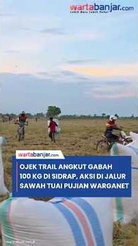 Dirt Bike Taxis Haul 100kg of Grain in Sidrap, Rice Field Stunts Win Netizen Praise