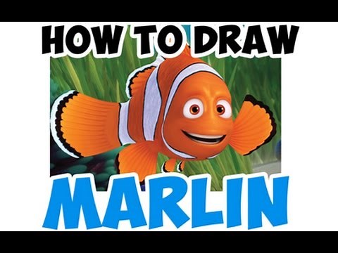 How to Draw Marlin The Clown Fish From Finding Nemo and Finding Dory