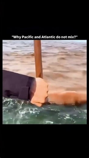 The Invisible Border Between Two Oceans Explained