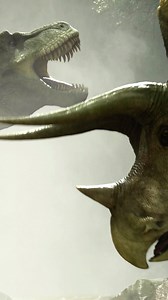 Triceratops and Tyrannosaurus rex lived at the same time, but it’s unclear if they were constant rivals. T. rex was a predator, possibly hunting Triceratops, which was an herbivore. They likely clashed occasionally, but it’s debated among scientists. They probably avoided each other when possible to avoid risk. Video by @robertfabiani_art and @julian_johnson1234 Sounds by @gabrieijames Music by @mika_hohko #trex #rex #tyrannosaurusrex #tyrannosaurus #triceratops #carnivore #herbivore #dinosaur #