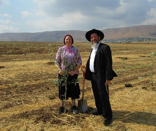 Land for sale in Israel - Agriculture Land for Sale in Israel