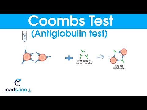COOMBS TEST (antiglobulin test) made simple