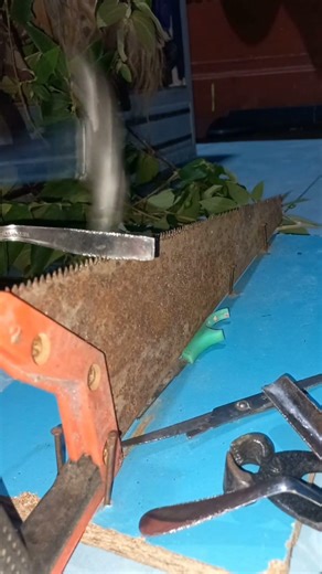 The Simplest Way to Restore Any Hand Saw!*