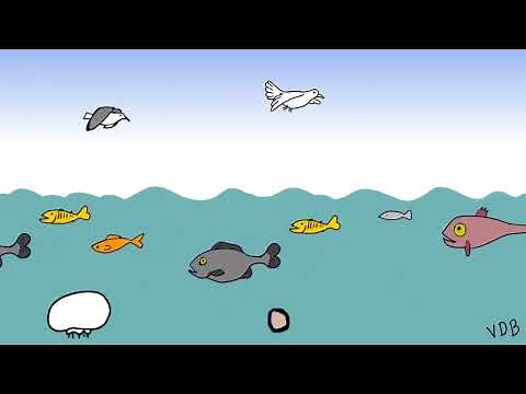 La création du monde