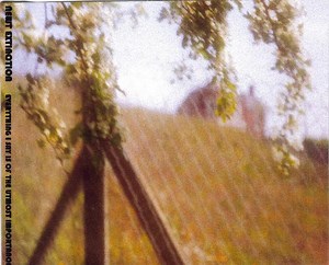 Newt Extinction - Everything I Say Is Of The Utmost Importance