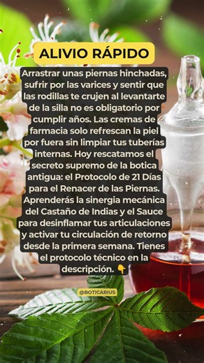 PIERNAS SIN DOLOR ¡Protocolo de 21 días para venas y articulaciones +60!