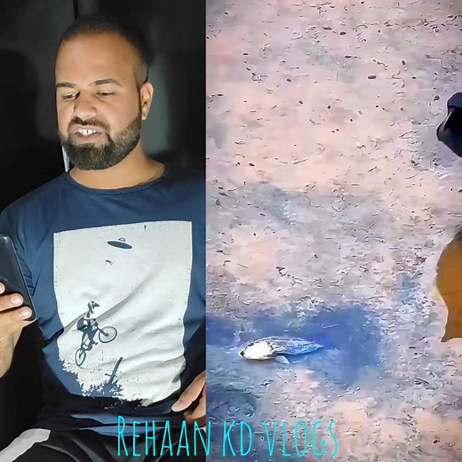 2.4M views · 202K reactions | Have You ever seen such type of Beautiful video on internet ? 珞 This bird won my heart  #birds #nature #migratorybird #fishes | Rehaan kd vlogs | Facebook