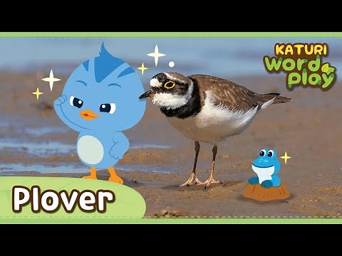* plover * | Katuri Word Play | Learn Animals | Animals for kids to learn