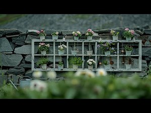 Creative Repurposed Window Ideas for Small Farmhouse Garden with Rustic Charm