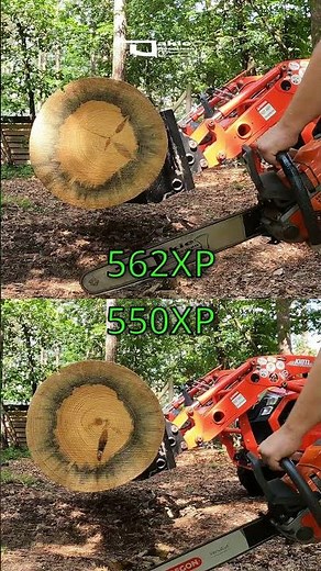 Husqvarna 550 vs 562XP #chainsaw #husqvarna #tools #work