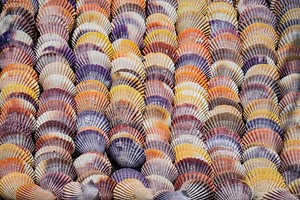 PowerShell Detections — Threat Research Release, August 2021 | Splunk