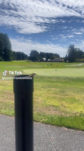 Cute Animals in Nature: Adorable Moments Captured