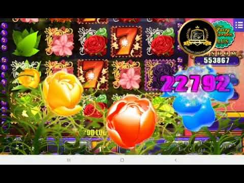 Mega888 Today 5 Fortune In 40 Out 650 jackpot mini lepas