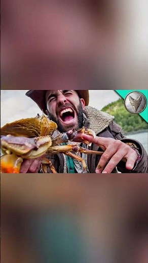 How Crabs Can Regrow Their Claws 🦀