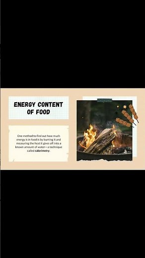 How Much Energy Does Your Body REALLY Need? 🤯⚡ | Energy in Food Part 4 #learnwithfun