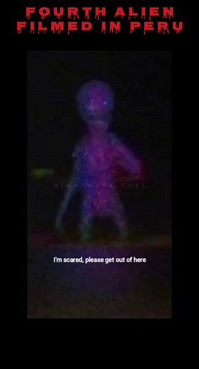 NIGHTMARE FUEL⛎ on TikTok