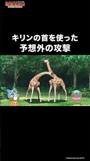 キリンの意外な戦い方とは…？#最強王図鑑 #キリン