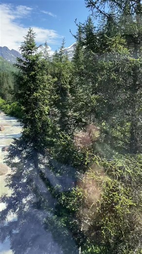 Riding the rails through waterfalls, sky-high bridges, and the Canadian border—all along the same wild path the Klondike gold rushers once dared to climb. White Pass doesn’t just take you to Alaska… it takes you back in time. #WhitePassRailroad #AlaskaAdventure #GoldRushTrail #TopazJourney #TrainViews #HistoricRoute #WaterfallViews #BucketListTrain #ExploreAlaska