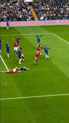 Alejandro Garnacho Chelsea vs Nottingham Forest Highlights Today | Premier League 2026 #chelsea