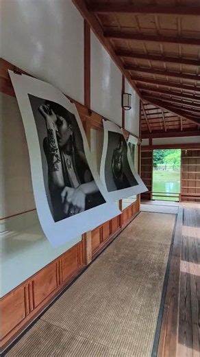 Korokan: The heart of the Japanese Garden in Hasselt 🍵 #hasselt #belgium #japanesegarden #house