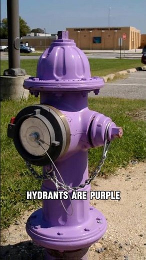 The Reason Fire Hydrant Are Different Colors🤨(EXPLAINED)