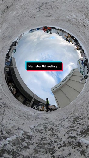 Doing the hamster wheel thing at work today #hamsterwheel #alaska #mundane #outside #insta360